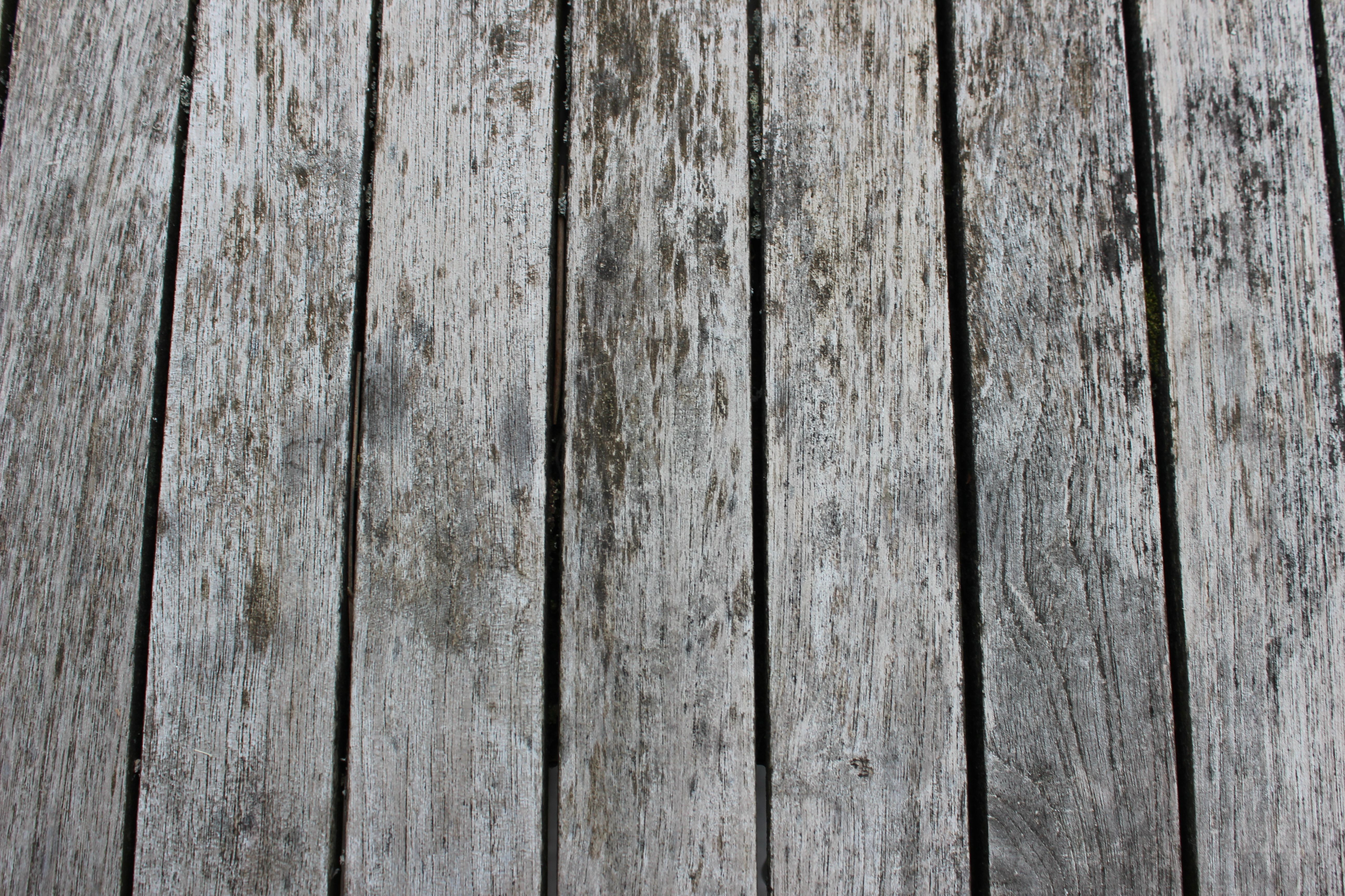 Modern vinyl flooring with realistic wood-look finish in a contemporary room
